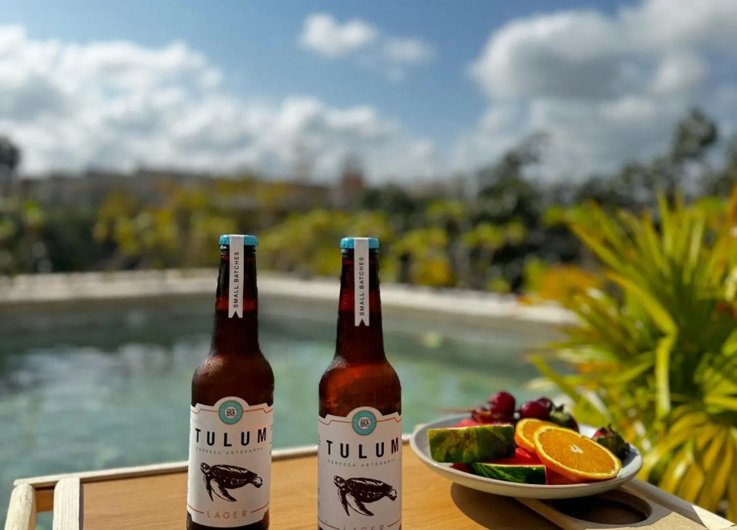 ºselva Misticaº Estela New Cozy Apartment Skypool 1 Bdr And 2 Bikes Free Rental Tulum