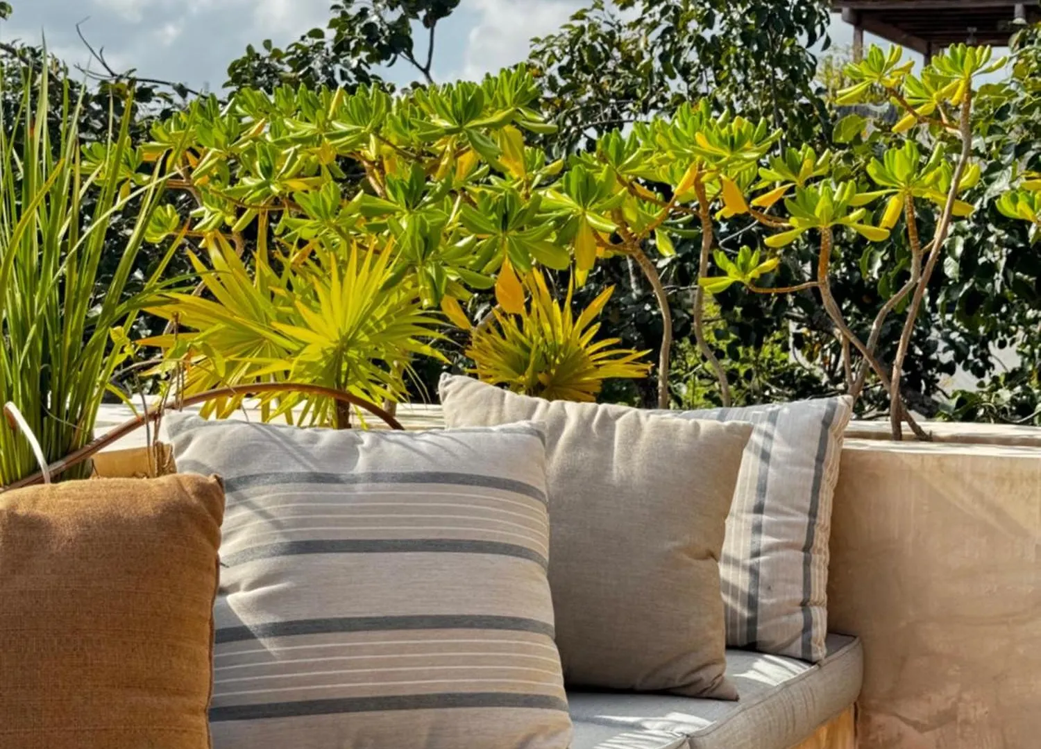 ºselva Misticaº Estela New Cozy Apartment Skypool 1 Bdr And 2 Bikes Free Rental Tulum