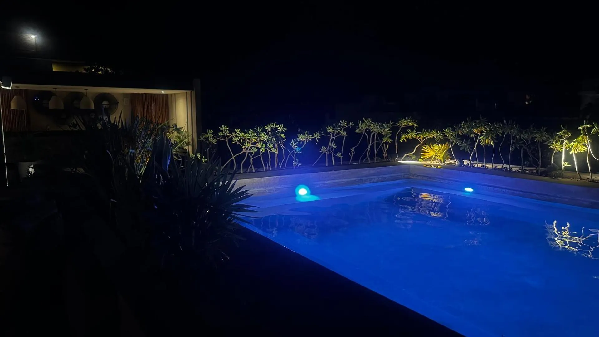 ºselva Misticaº Estela New Cozy Apartment Skypool 1 Bdr And 2 Bikes Free Rental Tulum