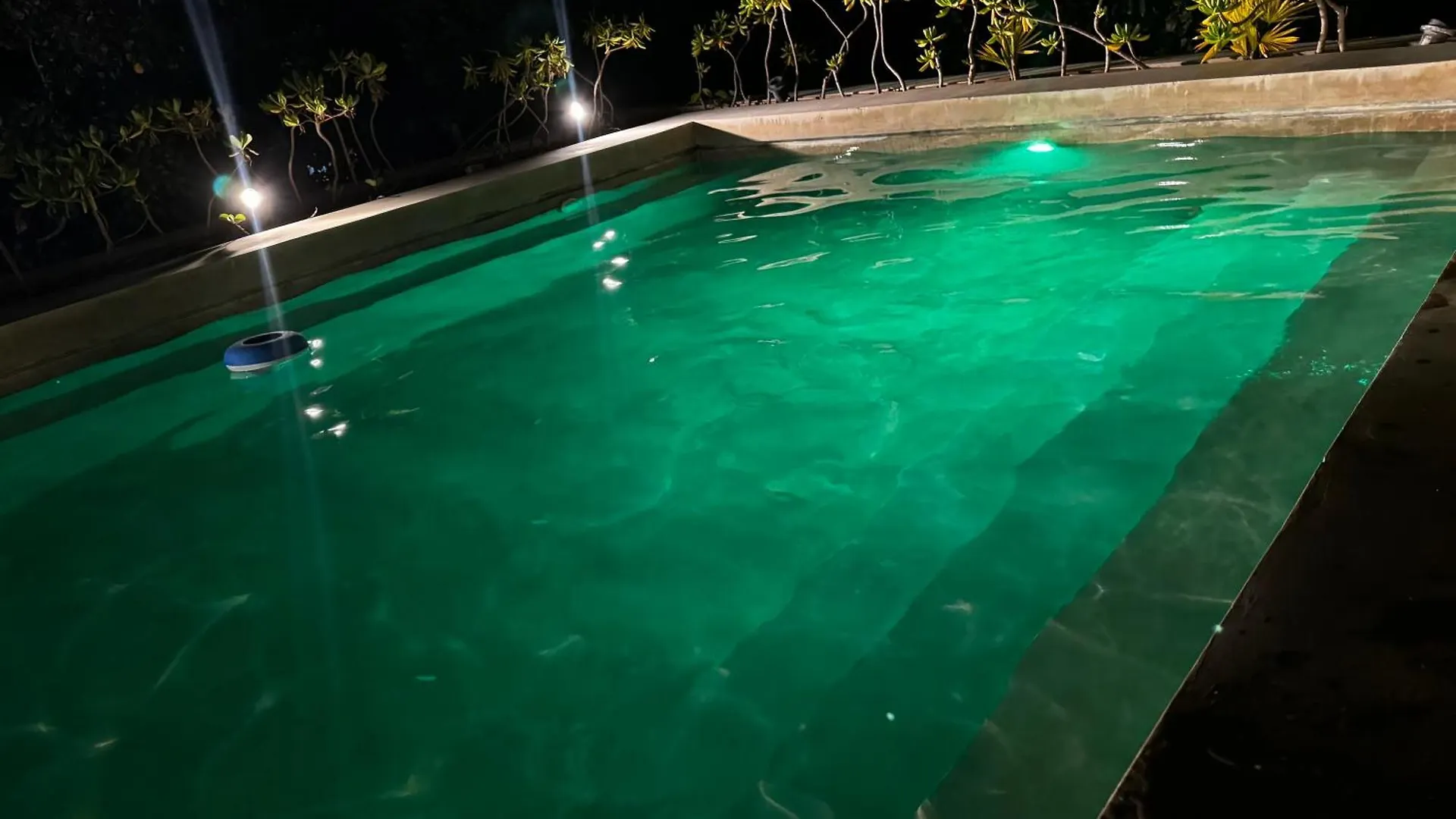 ºselva Misticaº Estela New Cozy Apartment Skypool 1 Bdr And 2 Bikes Free Rental Tulum