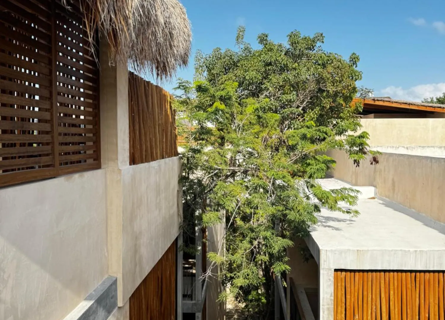 ºselva Misticaº Estela New Cozy Apartment Skypool 1 Bdr And 2 Bikes Free Rental Tulum