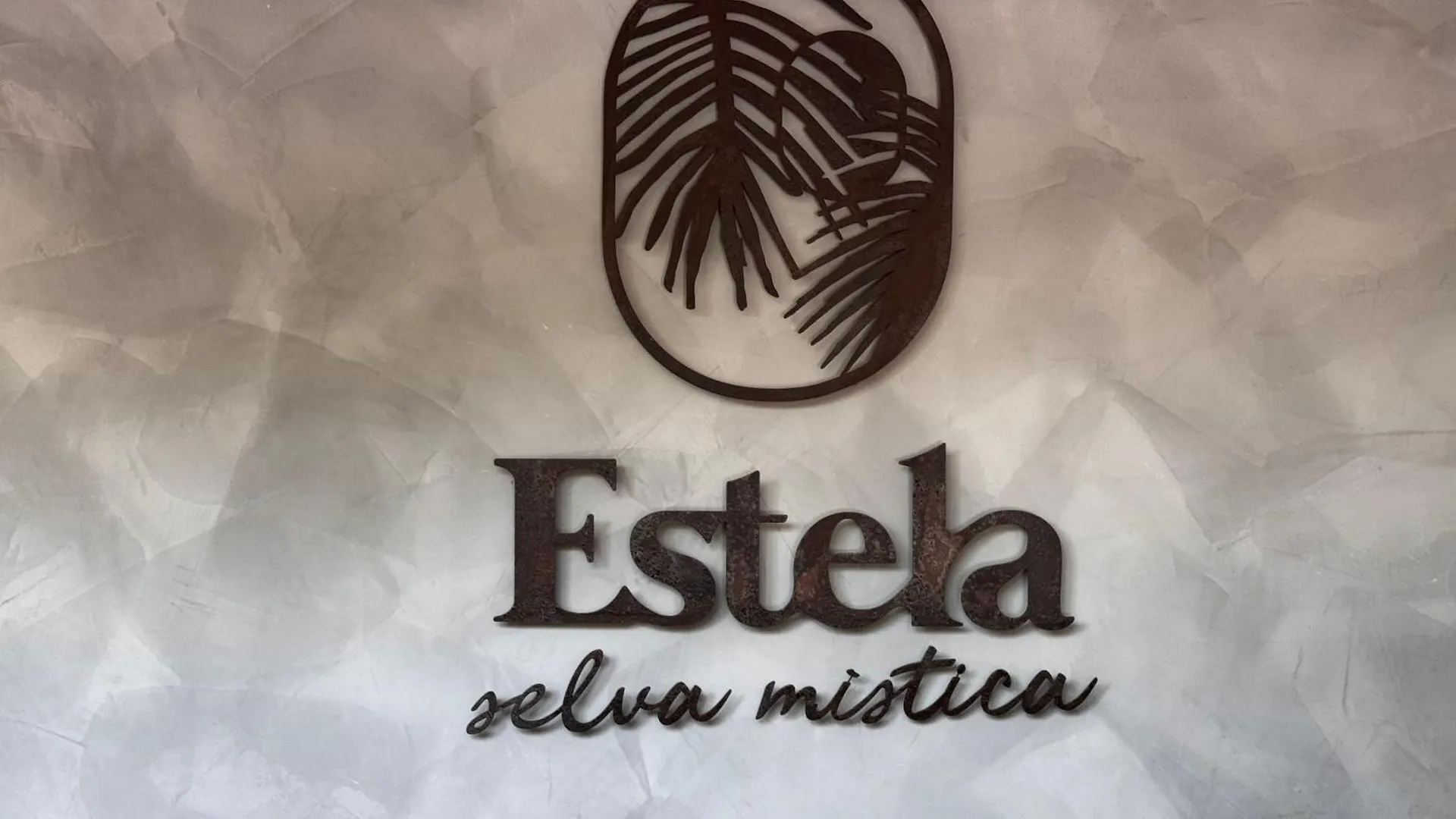 ºselva Misticaº Estela New Cozy Apartment Skypool 1 Bdr And 2 Bikes Free Rental Tulum Mexico