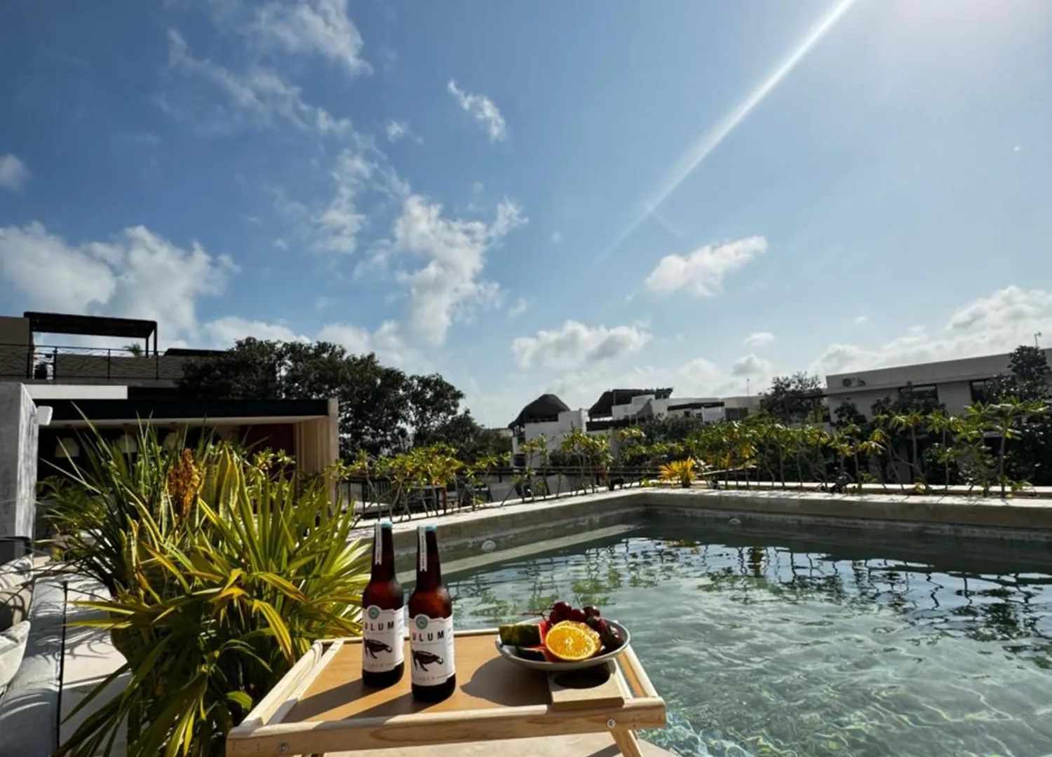 ºselva Misticaº Estela New Cozy Apartment Skypool 1 Bdr And 2 Bikes Free Rental تولوم