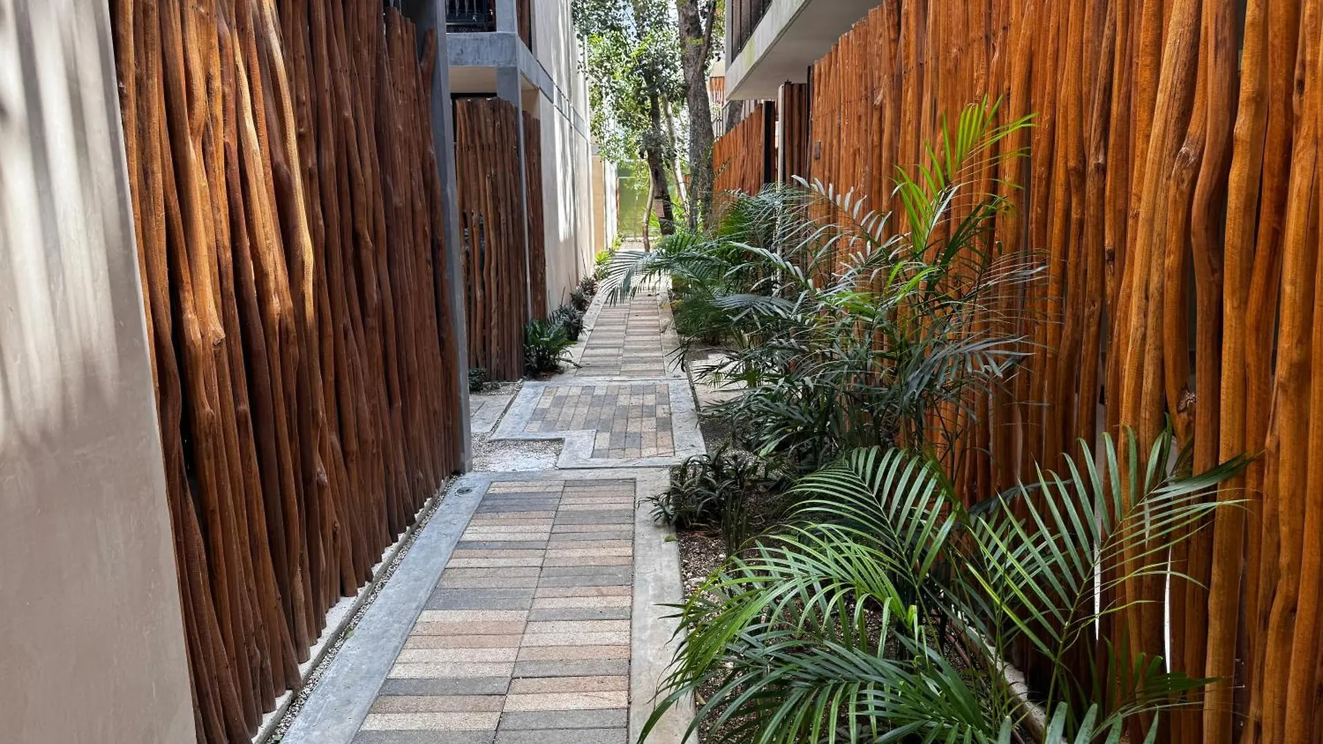 ºselva Misticaº Estela New Cozy Apartment Skypool 1 Bdr And 2 Bikes Free Rental تولوم المكسيك